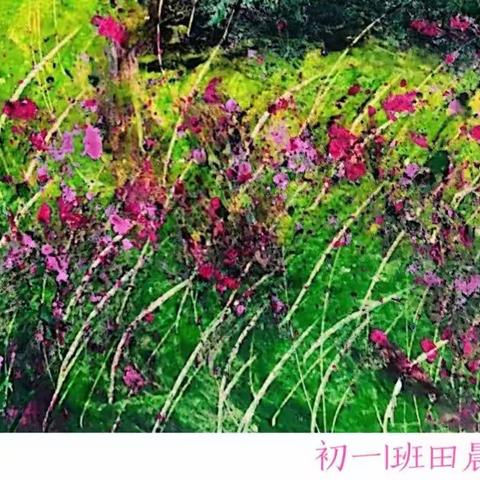 云上竞芳华，与君共阅鉴——濮阳市开德中学美术学科线上教学活动展示