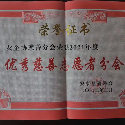 【喜讯】安康市女企业家协会荣获2021年度“优秀慈善志愿者分会”称号