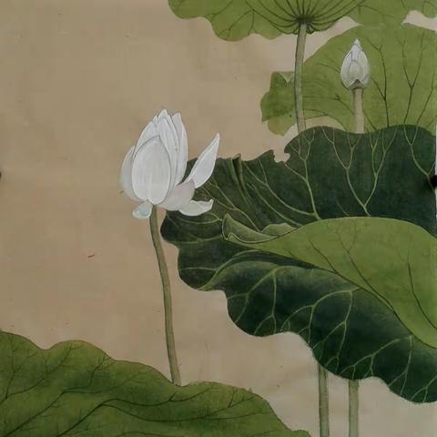 张珍贵书画工作室•培训•第2期