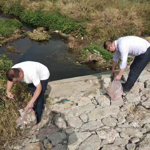 长林小学党支部落实“惠民微实事”