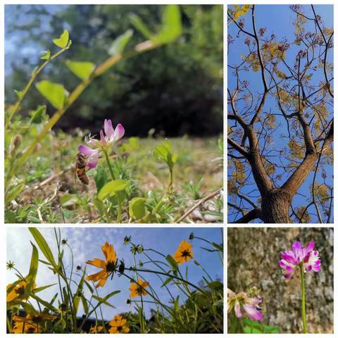 【城门镇】拐点尚未到来，城门镇仍在坚守（2月23日）