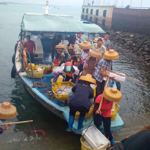 海南白马井渔港游览