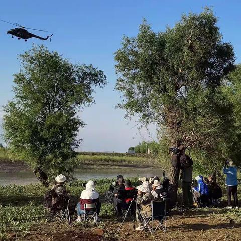 啄木鸟育儿（二）