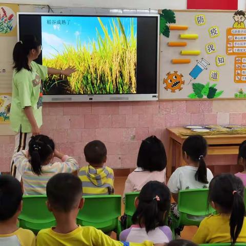 认识稻谷🌾🌾