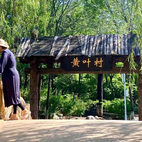 “黄叶村”探幽
