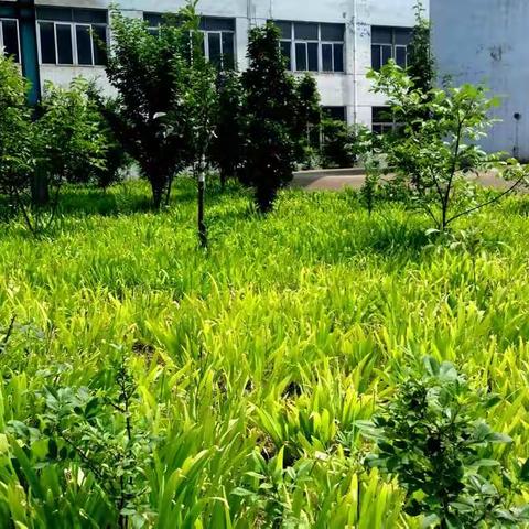 花园站所二轧空