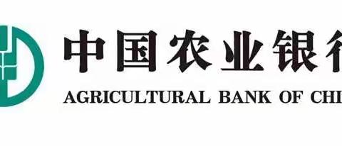 农业银行汉中宁强支行营业室数字化转型导入项目总结