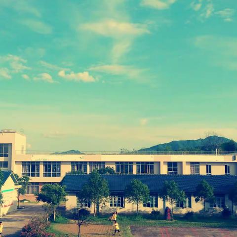 感恩活动之我见