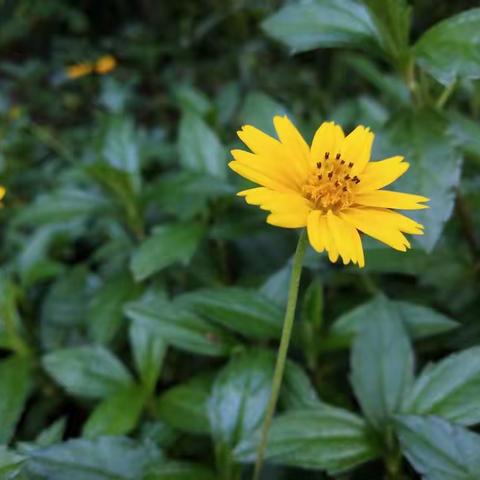 二（4）班开学一个月小结