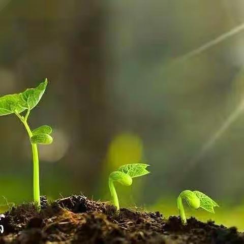 珍惜当下  不负春光