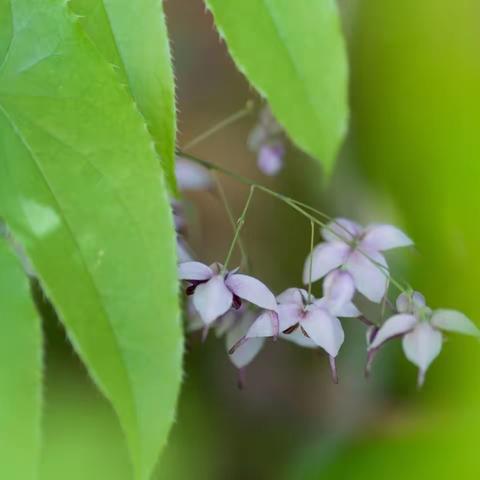 《风动》