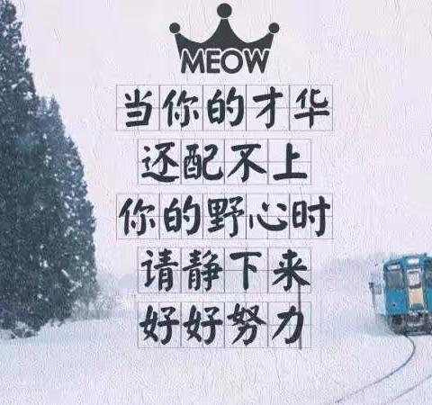 12月29日    九16班工作简报