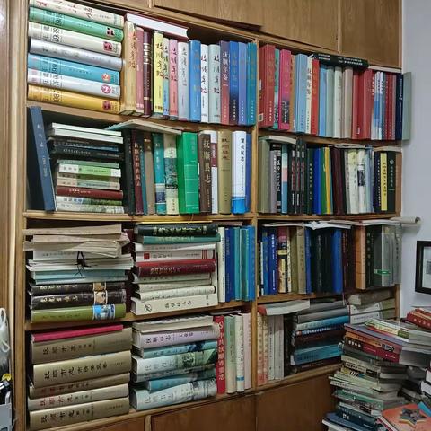 《初访藏书屋》记抚顺最佳藏书达人辛宝贵