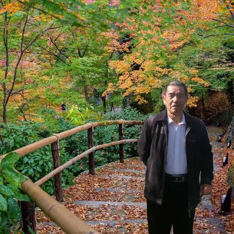 【念一】抚顺作家协会廿一文学组作品集锦