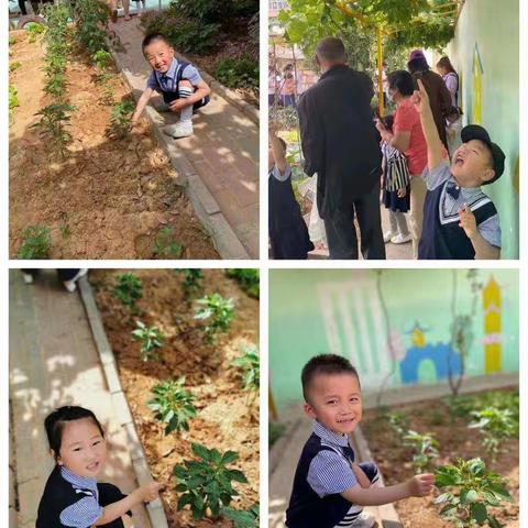 城关镇中心幼儿园“亲子同乐 玩转户外”六一特别活动纪实