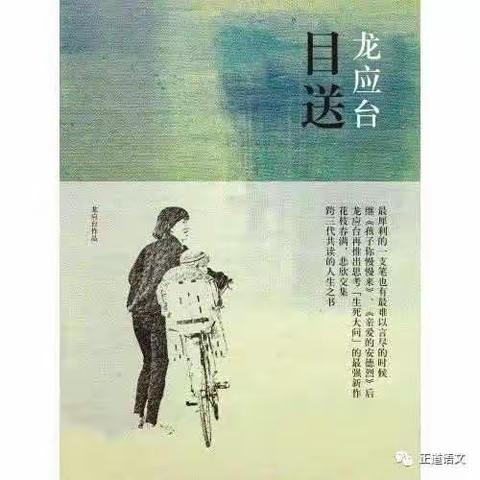 董卿深情朗读《目送》，听完感动落泪