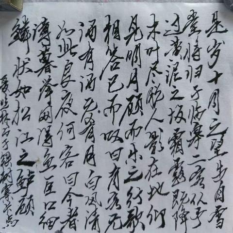 行书·苏轼《后赤壁赋》（节选）