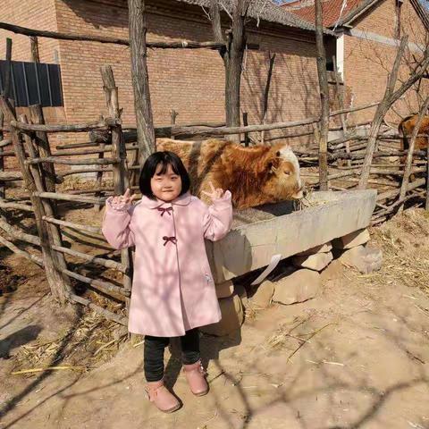 郑琳熠宝贝，寒假的生活点滴。