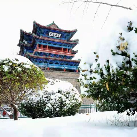 民革党员做表率 扫雪除冰暖人心