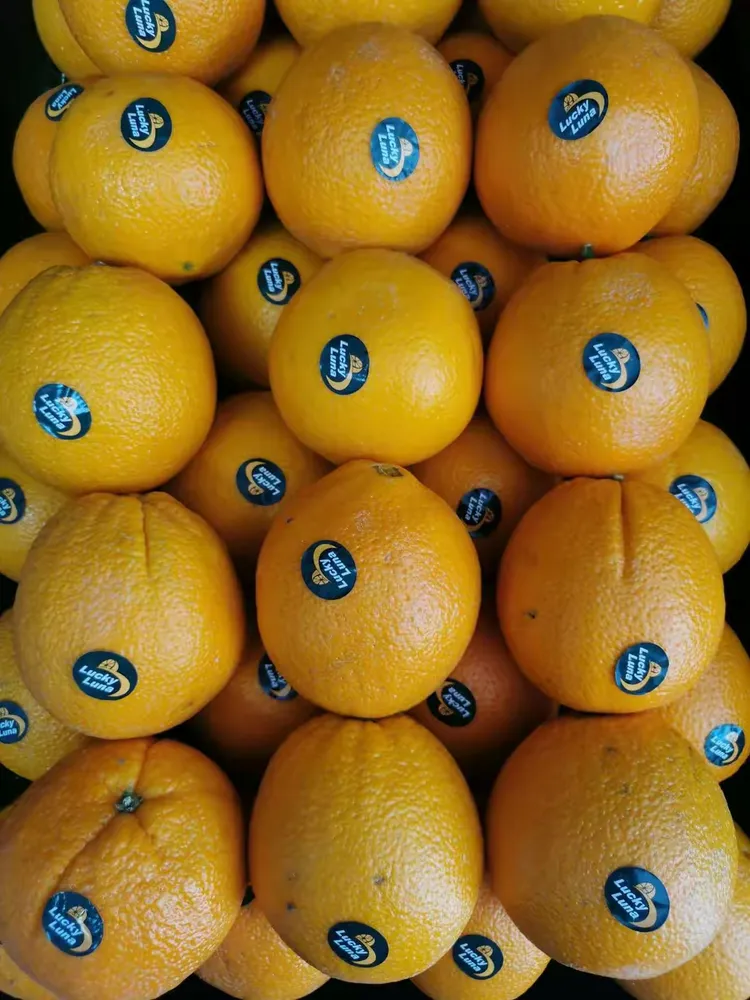 锡林鲜森精品水果 和谐佳园店