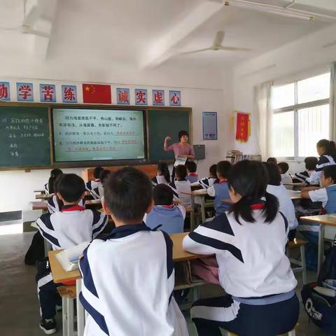 逸夫小学语文公开课