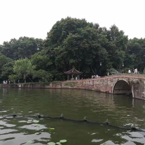 再游江浙5(杭州西湖千岛湖2021.6)