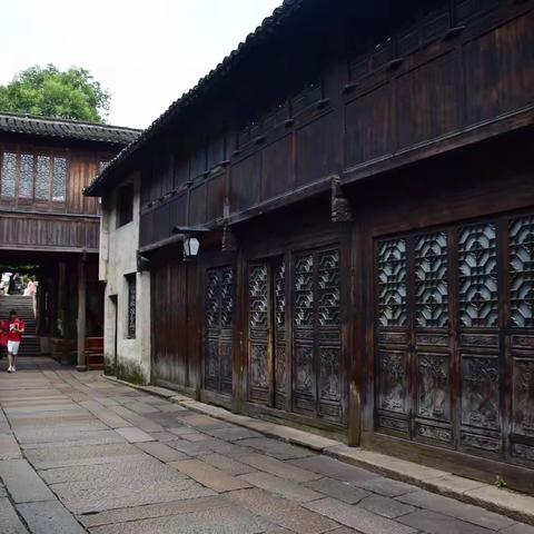 再游江浙4(乌镇2021.6)