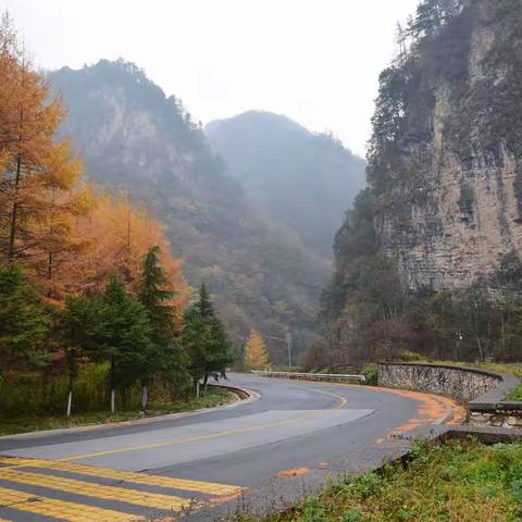 流逝的岁月.3(2020.10)