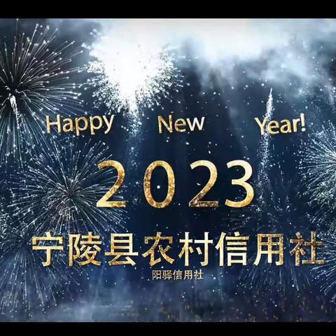 阳驿信用社“开门红”正式启动