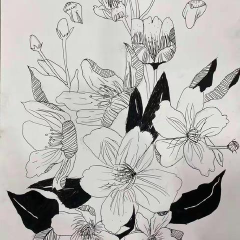 金典美术——杨馨璐同学作品集