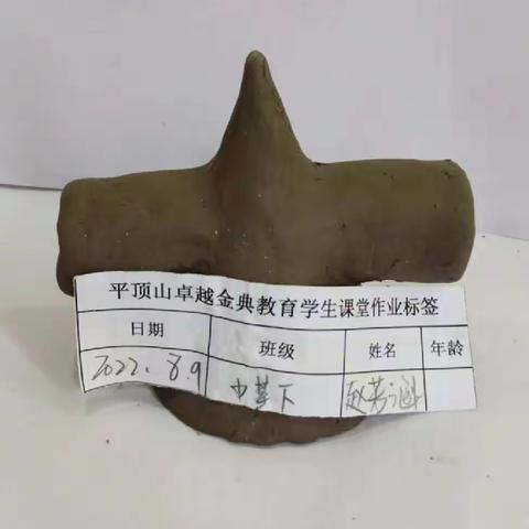 金典美术——赵若涵同学作品集