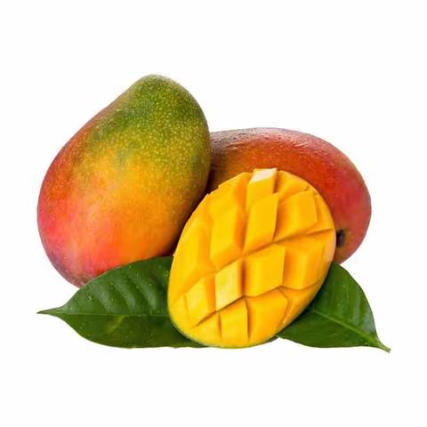 高中地理知识点总结和综合题答题思路指导