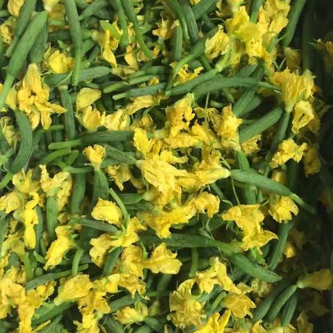 明凯特菜武昌白沙洲店开业