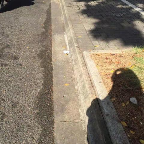 2017年8月20日上午收费所美兰站巡查滨海大道，龙华路，华海路，国贸北路，玉沙路,海秀路等路面卫生情况汇
