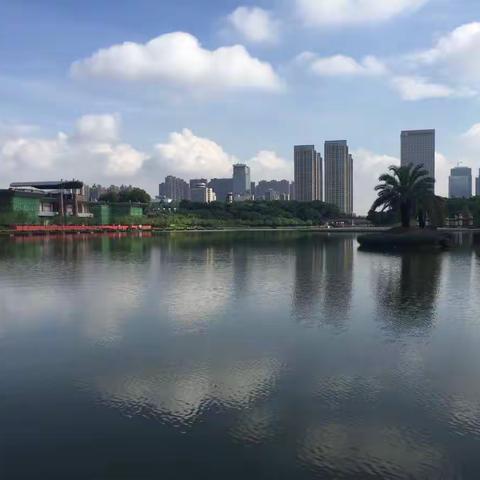 广东佛山南海千灯湖公园