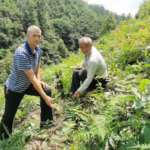 巩固脱贫，落实政策。