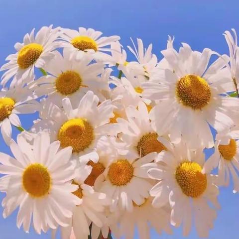 带着回忆，迎风启程。