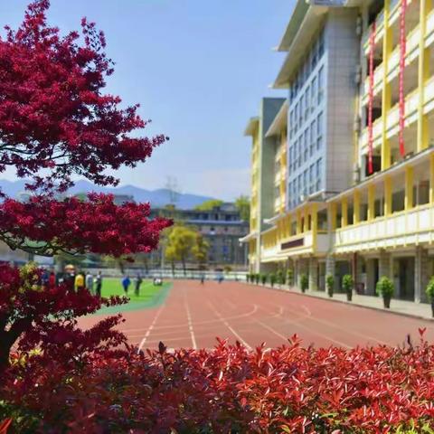 舞阳中学2017年秋季七年级招生工作方案
