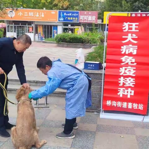 桥沟畜牧站开展狂犬病免疫进社区活动