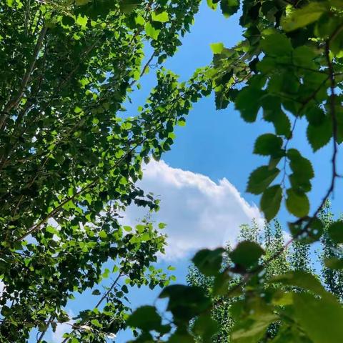 生活，从来不在他方。