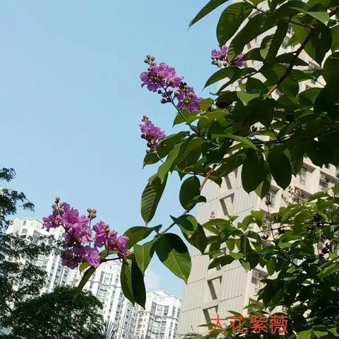 父亲节2018.6.17