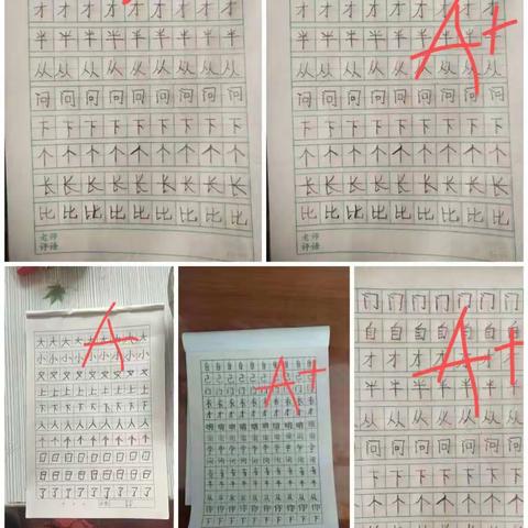 南高庄小学硬笔书法展