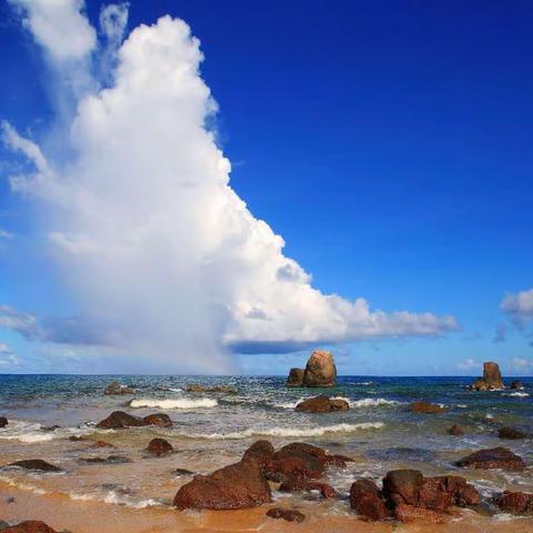 🌼相约万宁大花角🌼