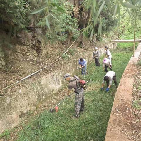 海镜社区开展“党群公益行▪争当高原湖泊卫士”活动