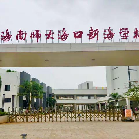 海南师大海口新海学校2020学年第十四周周工作报告