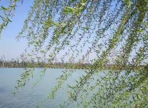 遇见春天，遇见美——小二班四月份主题活动