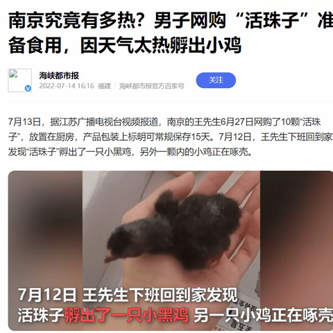 炎热天气能不能孵出小鸡？对比实验探究新闻真假性
