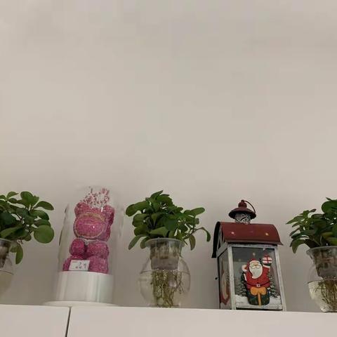 本周值班人员:王玉娜  李菲