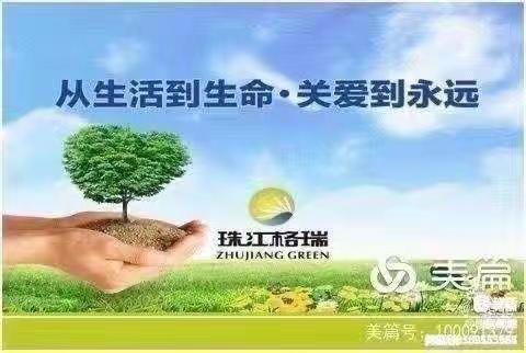 【海口市政务中心项目】二月第二周“清道夫”活动