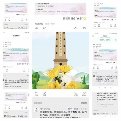 我们的“别样”清明——盼盼小学221班清明活动记实